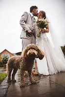 Bride, groom and dog