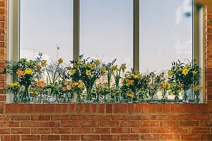 Window Sill