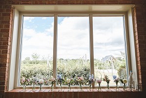 Flowers in the window