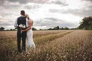 In the cornfield