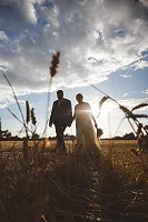 Walk through the cornfield